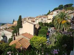 183 D23 BORMES LES MIMOSAS 1_000043